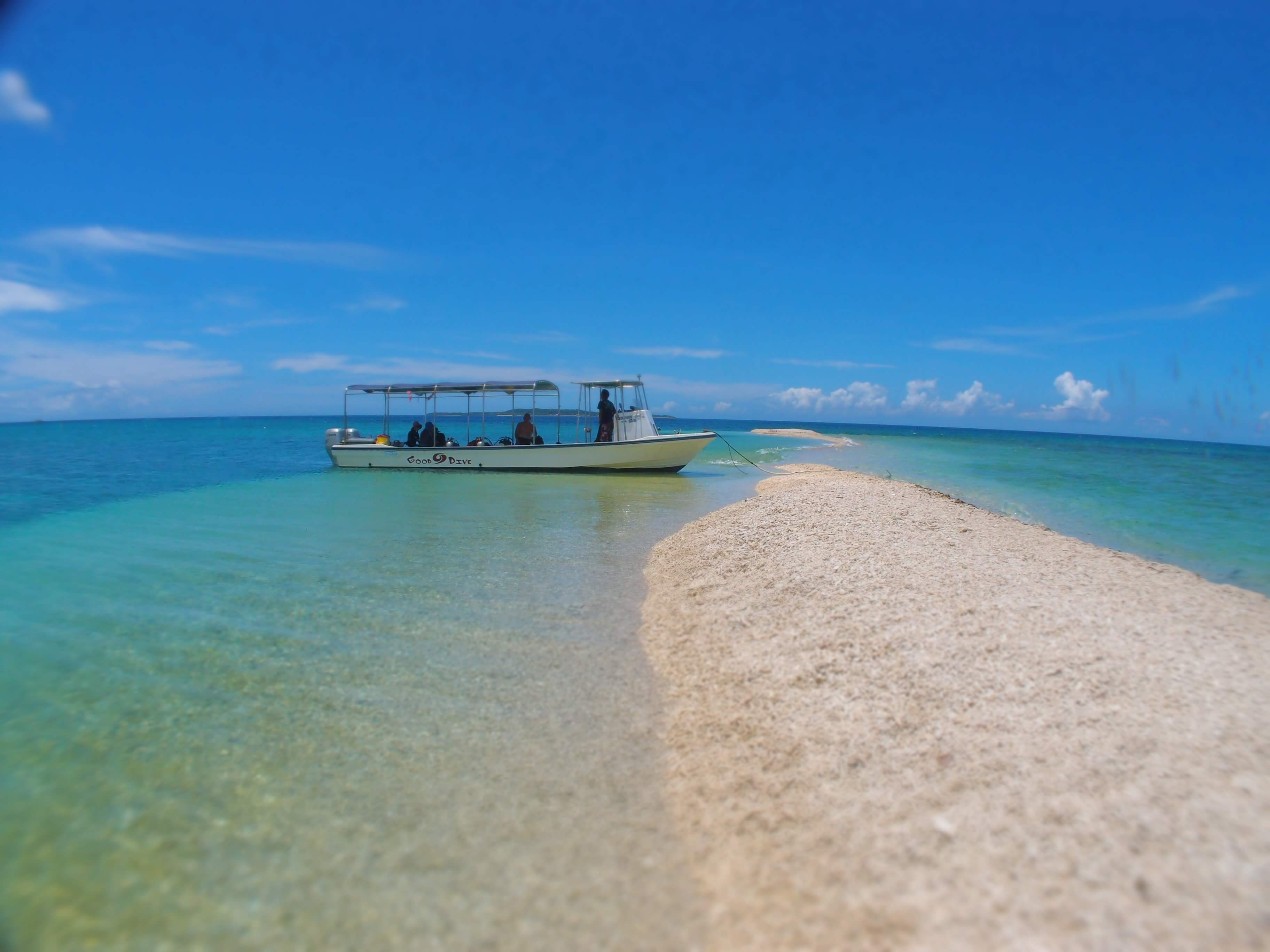 西表島　海