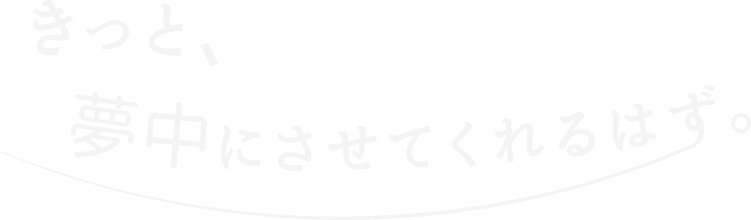 西表島で夢中にさせてくれるツアー