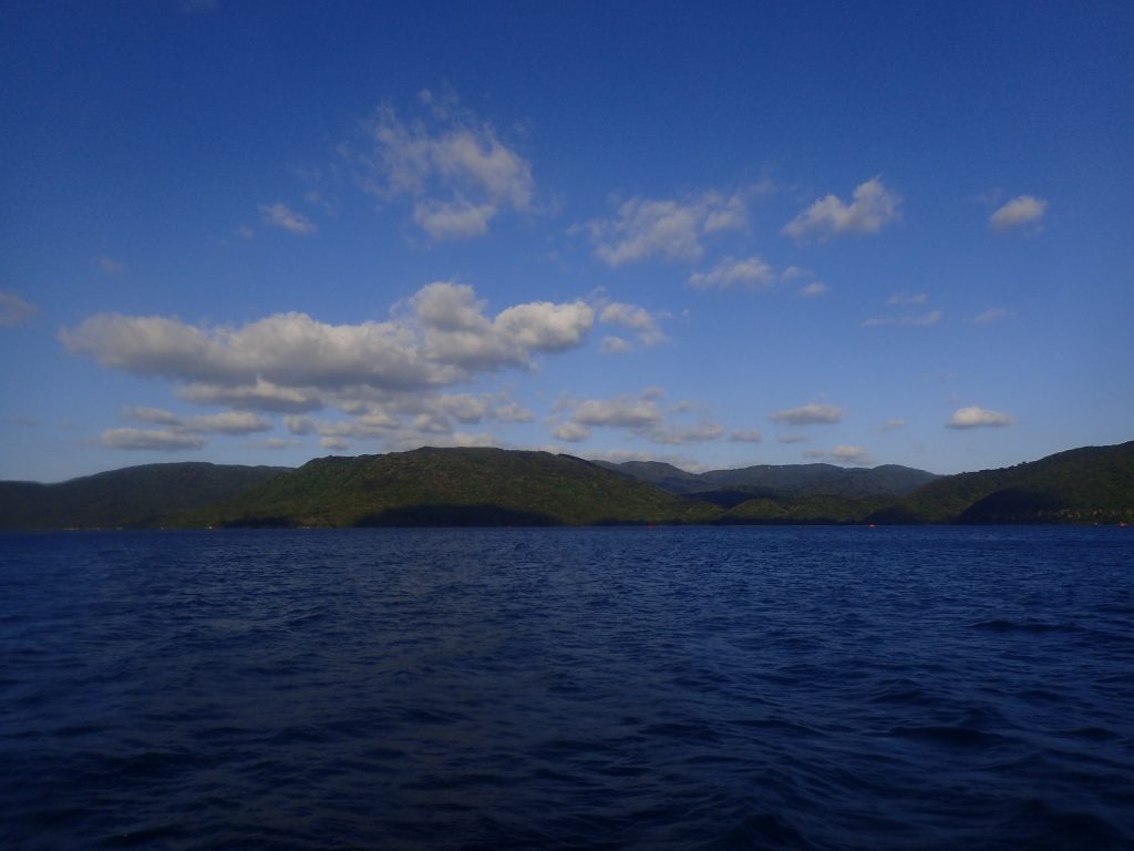 カメがウヨウヨ、恐るべし船浮湾