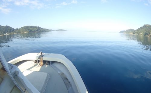 白浜から鹿の川へ