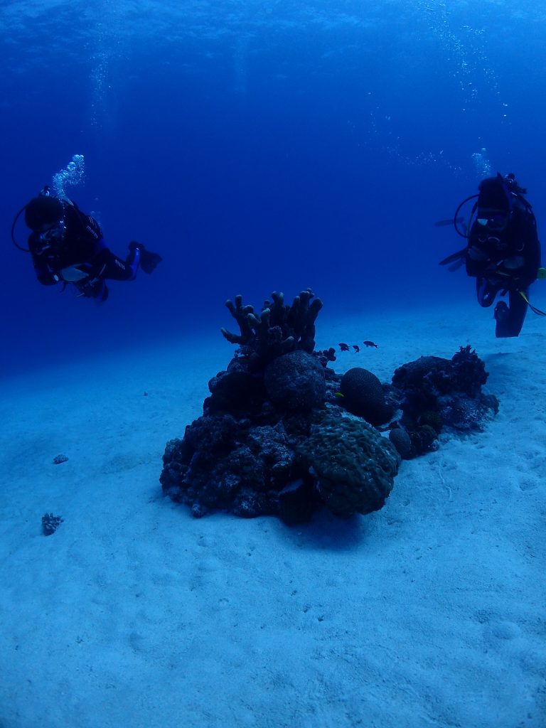 透明度高い西表冬の海