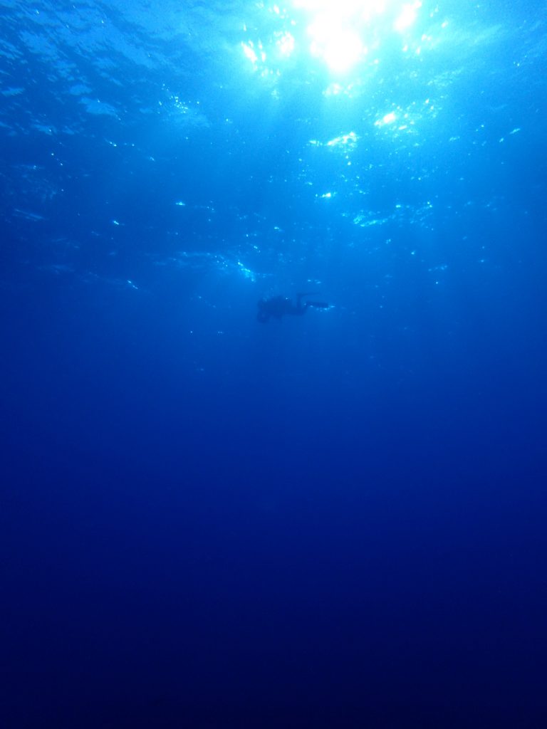 西表の海に癒される