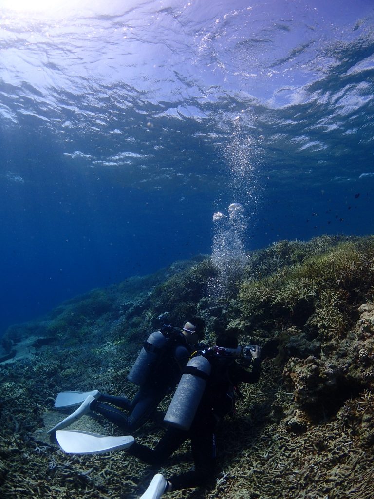 バディでじっくり写真ダイビング