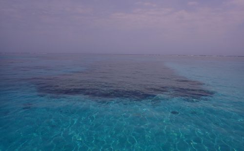 透明度抜群　鳩間の海