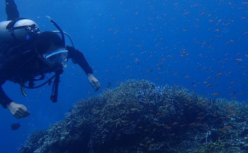 浅くても中性浮力