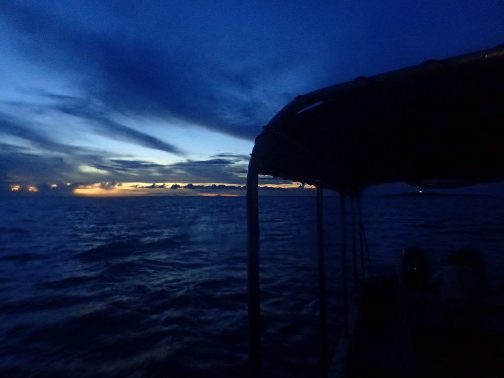 夕方の海を潜る西表島