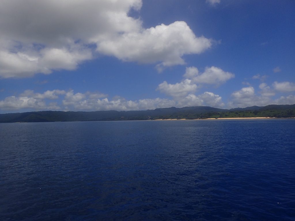 夏の西表島