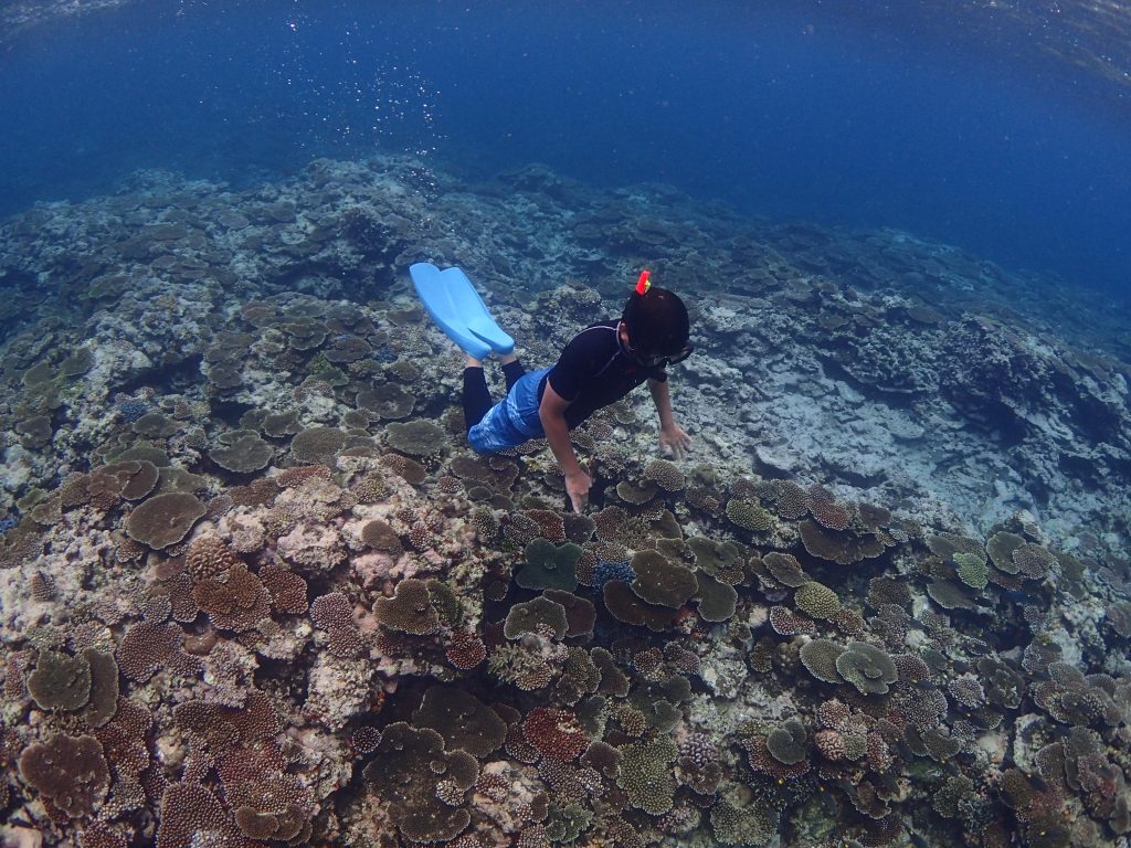 鳩間の海でシュノーケル