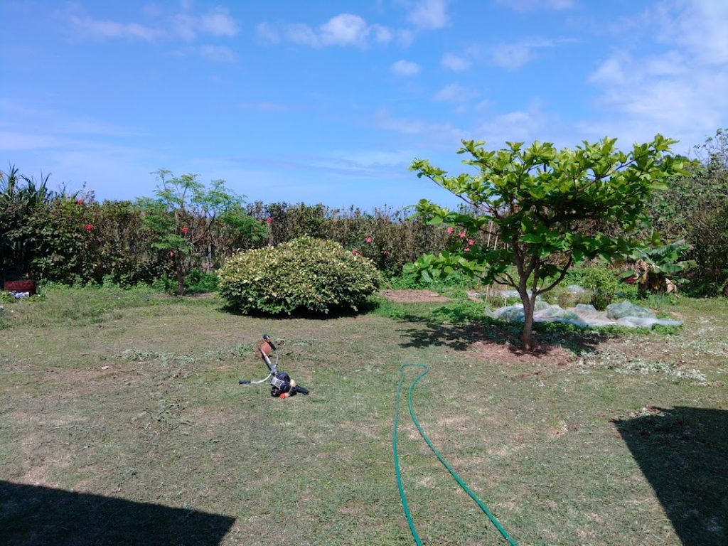 今日は夏でしたわ