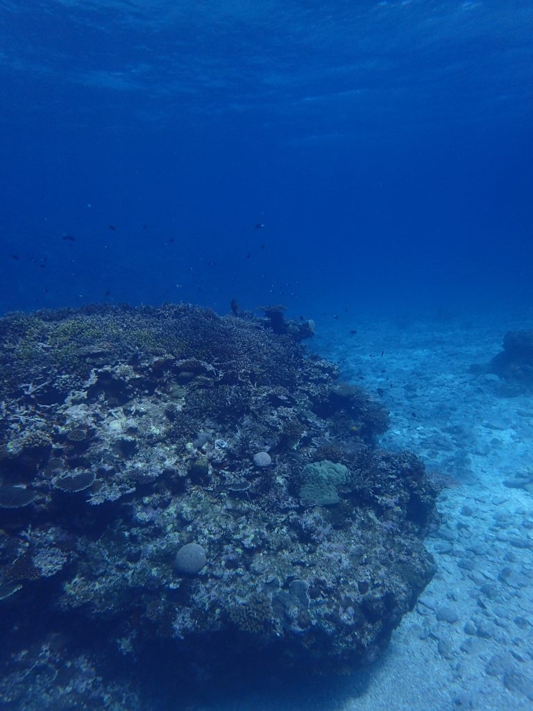 ３月１日　西表の海