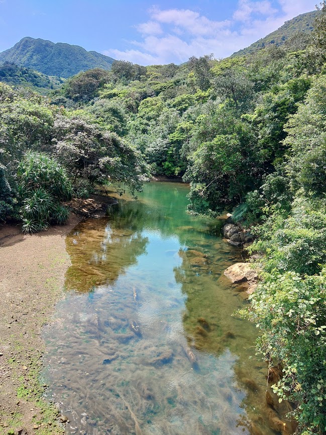 うりずん　西表島