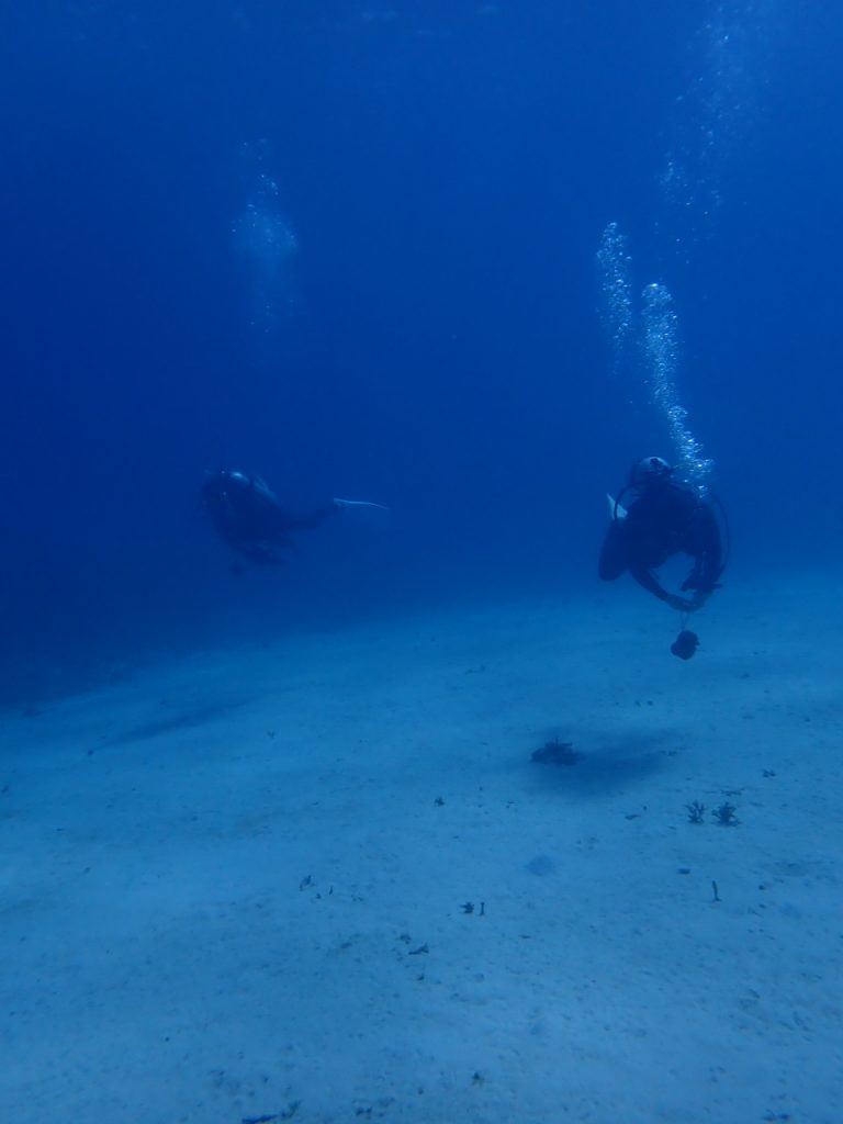 春先の西表島の海