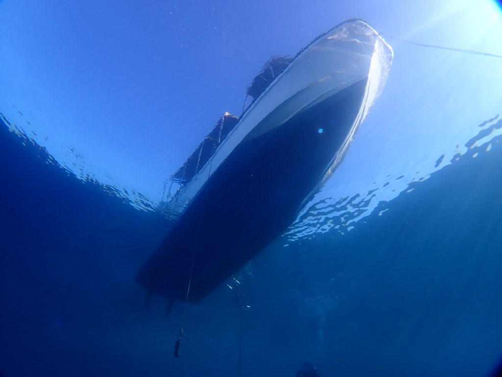 西表島 早朝の水中