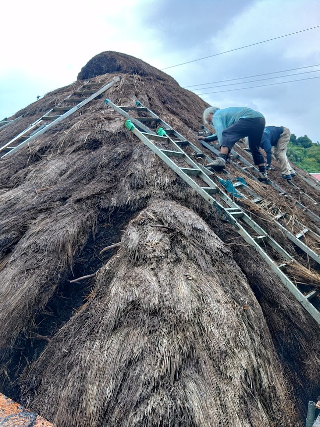 西表島の部落作業