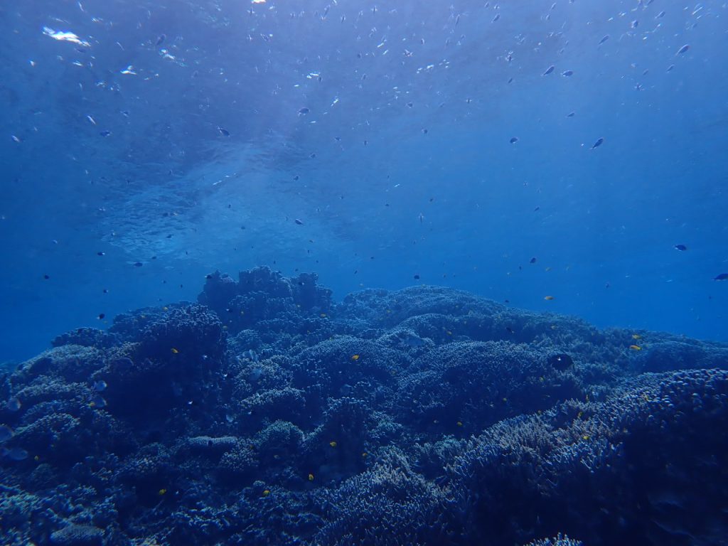 西表の冬の海