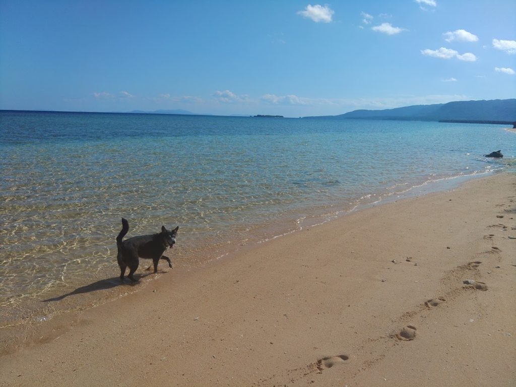 11月晴天の西表島