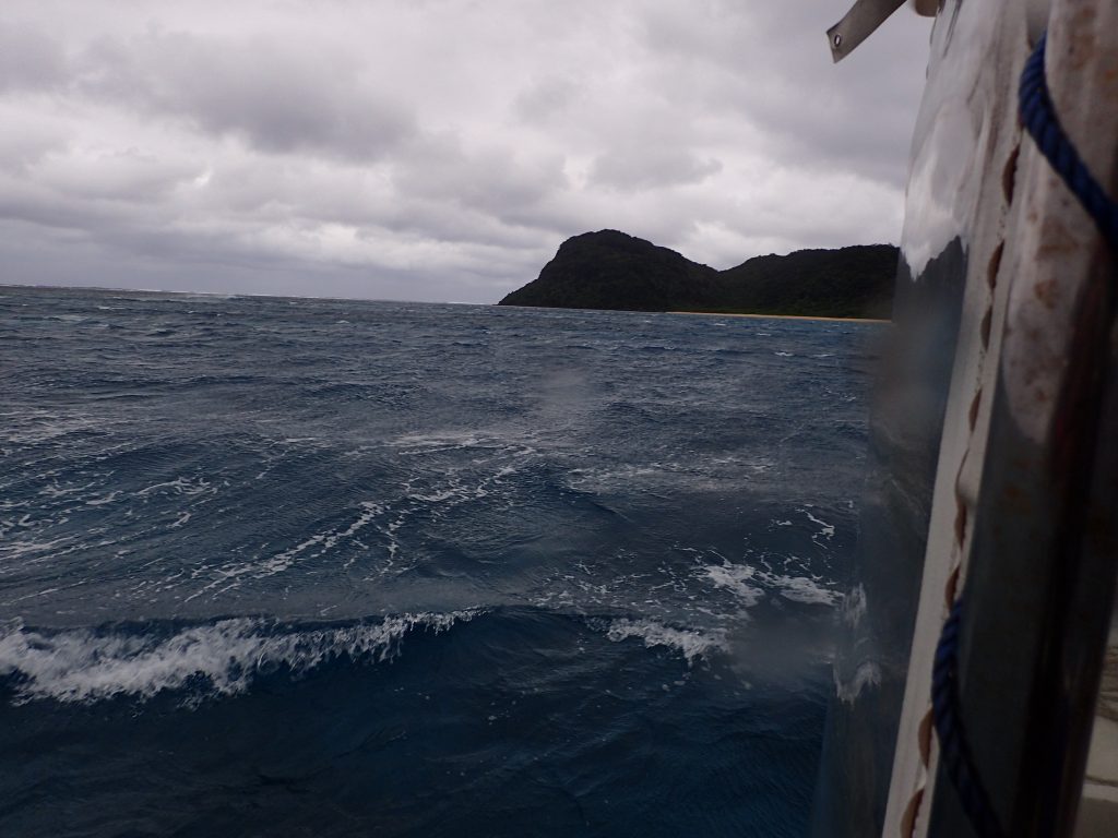 海上は嵐、海中は楽園