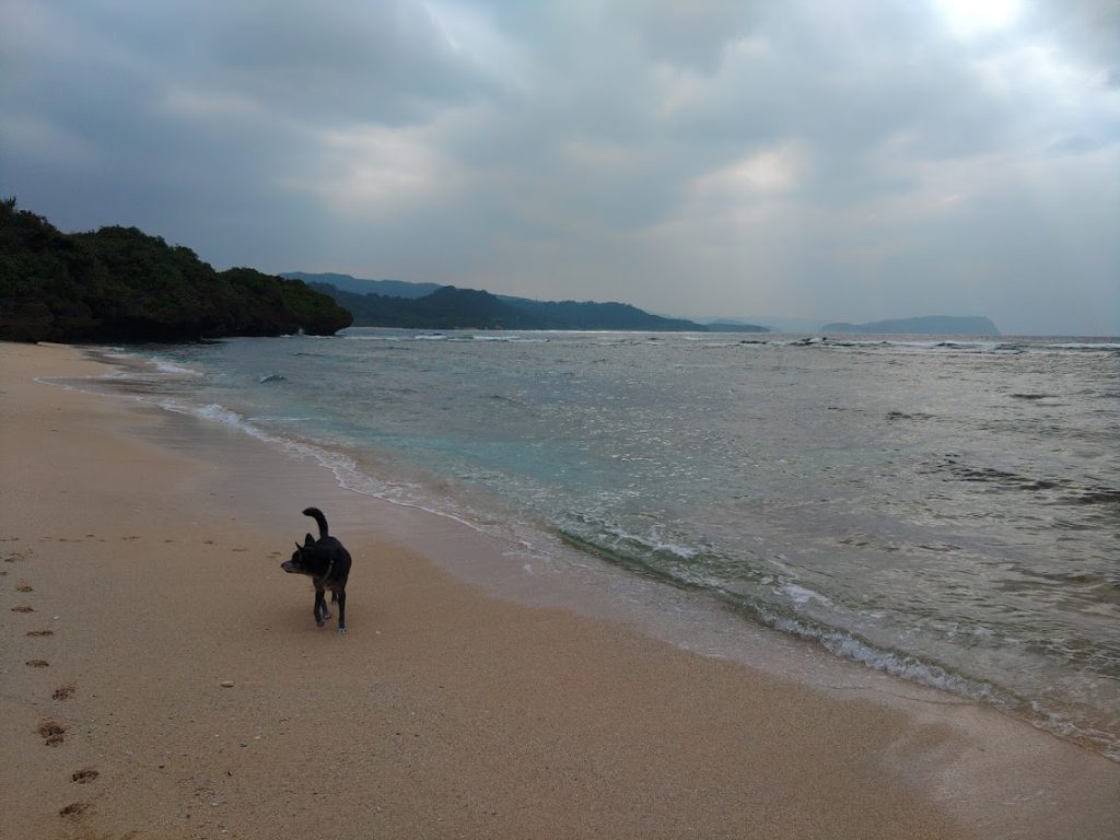 ２０２４年元旦の西表島