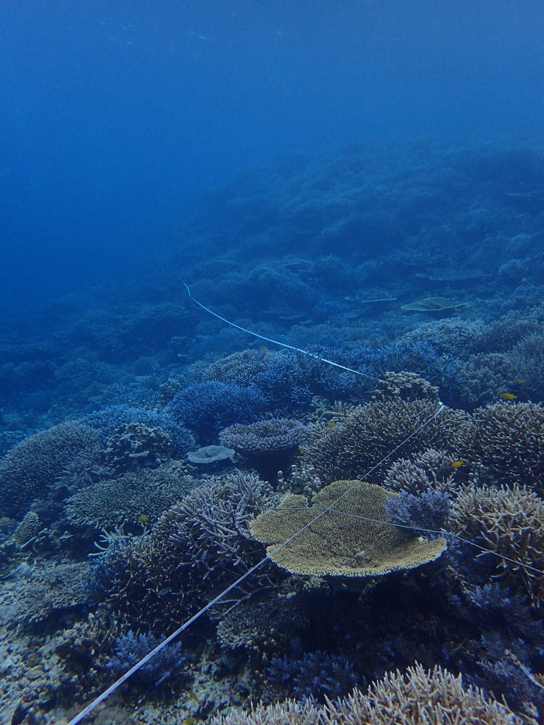 海の保全活動、モニタリング