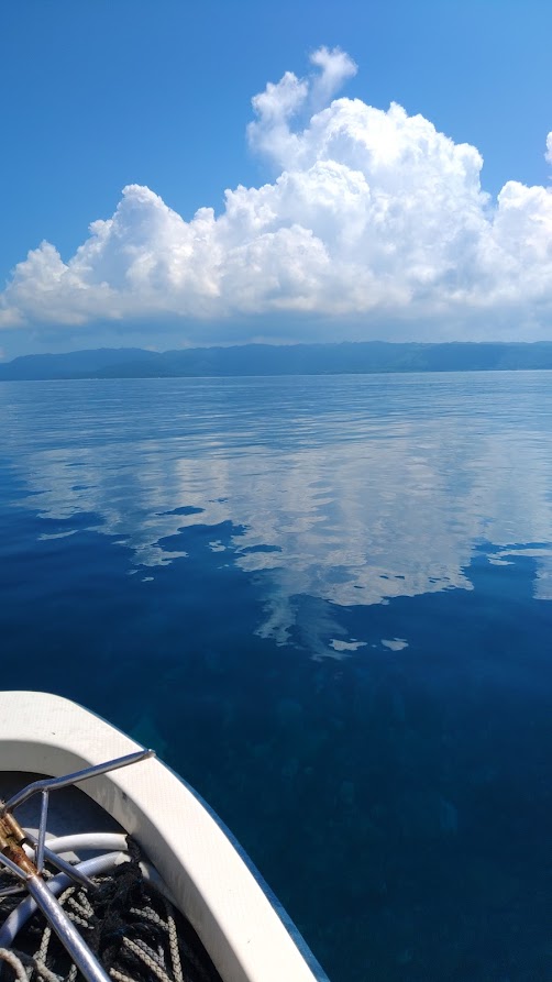 西表島　夏海