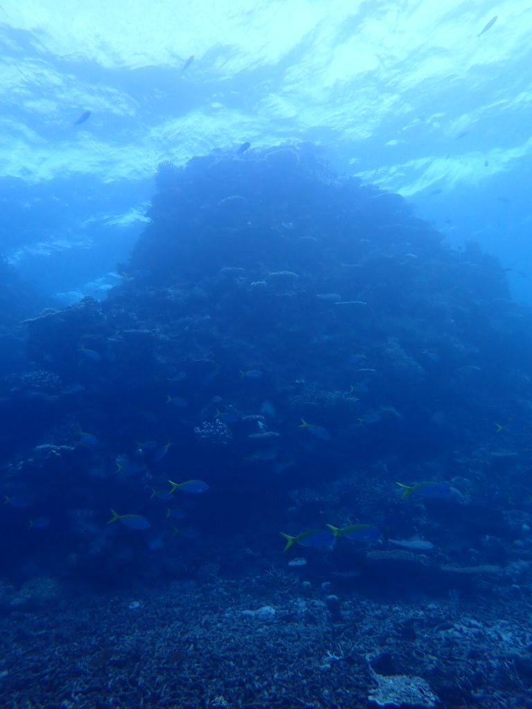 水中　カリオストロの城