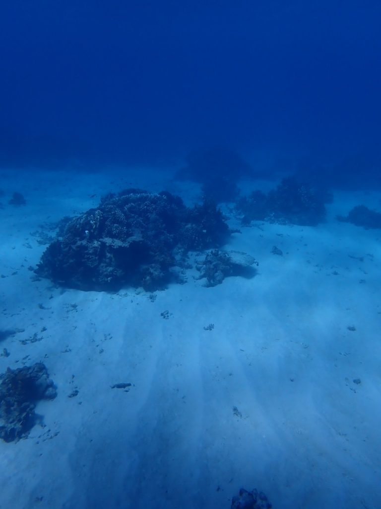 網取の砂の海底