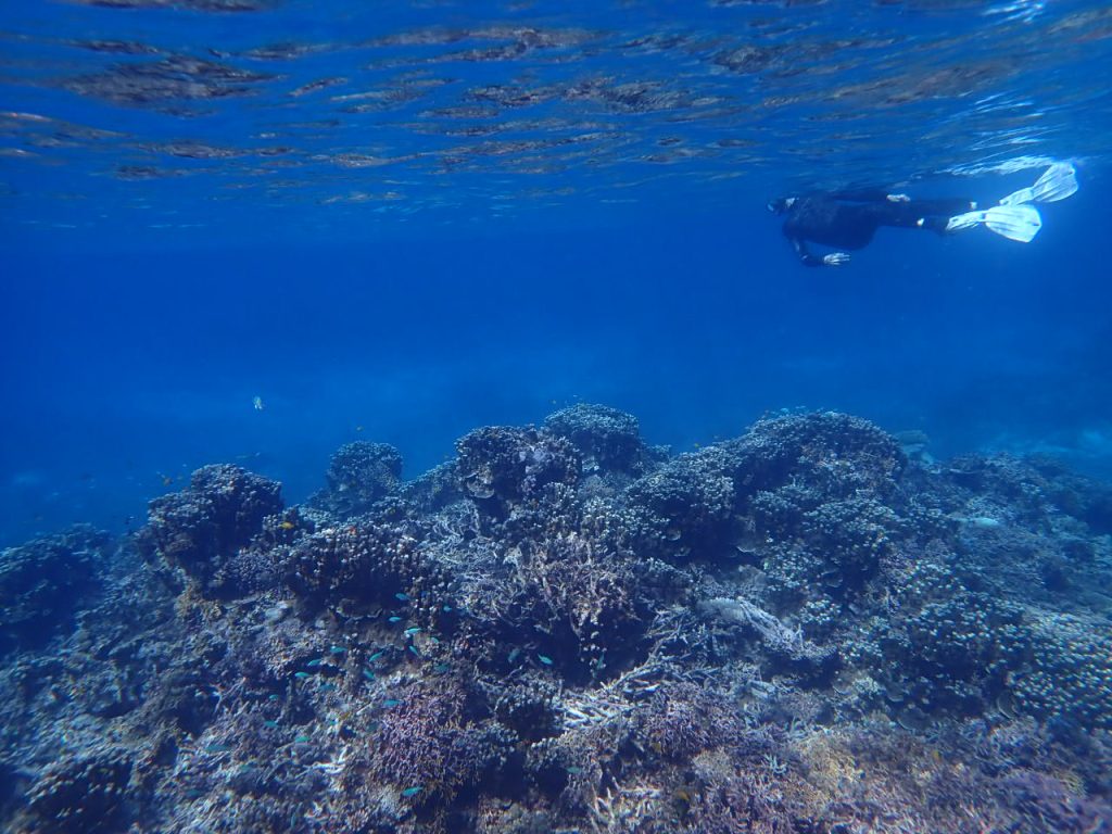 崎山の海を眺める