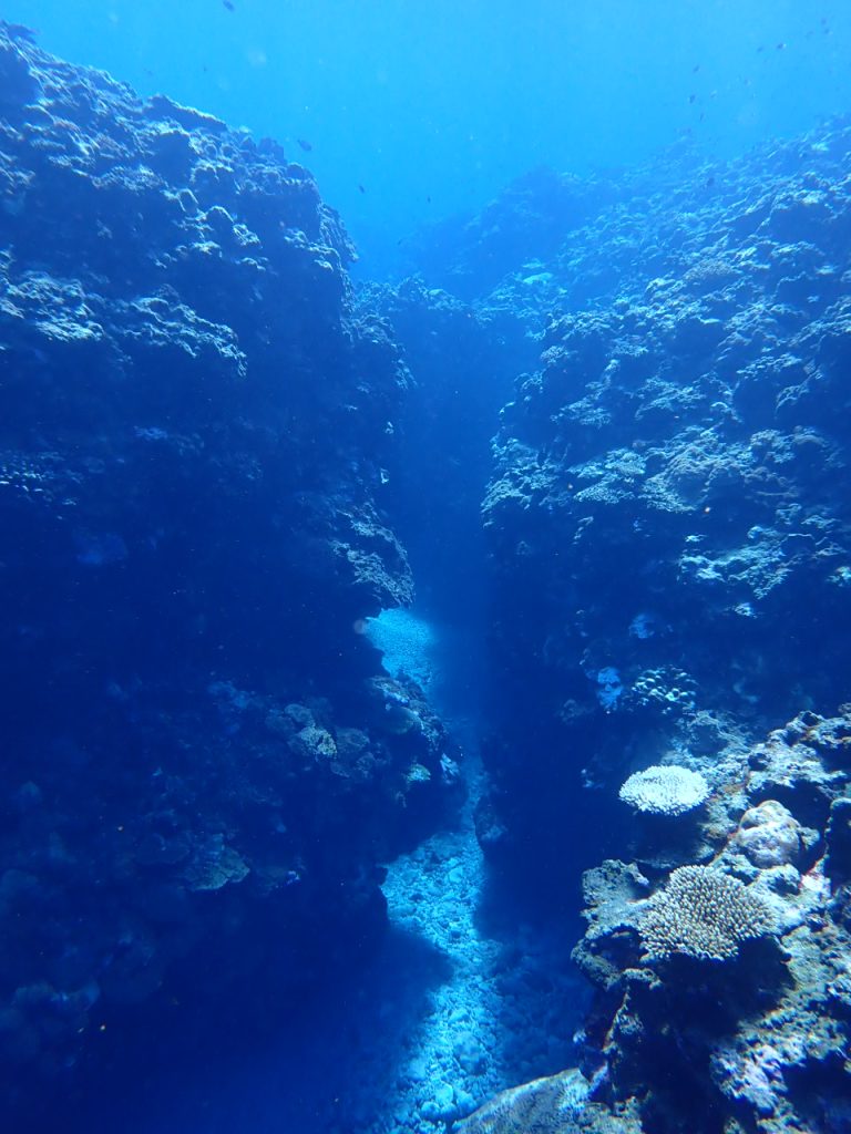 海中の自然な道