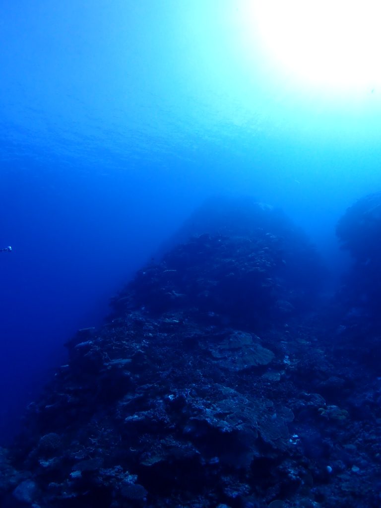 水中の山のような地形