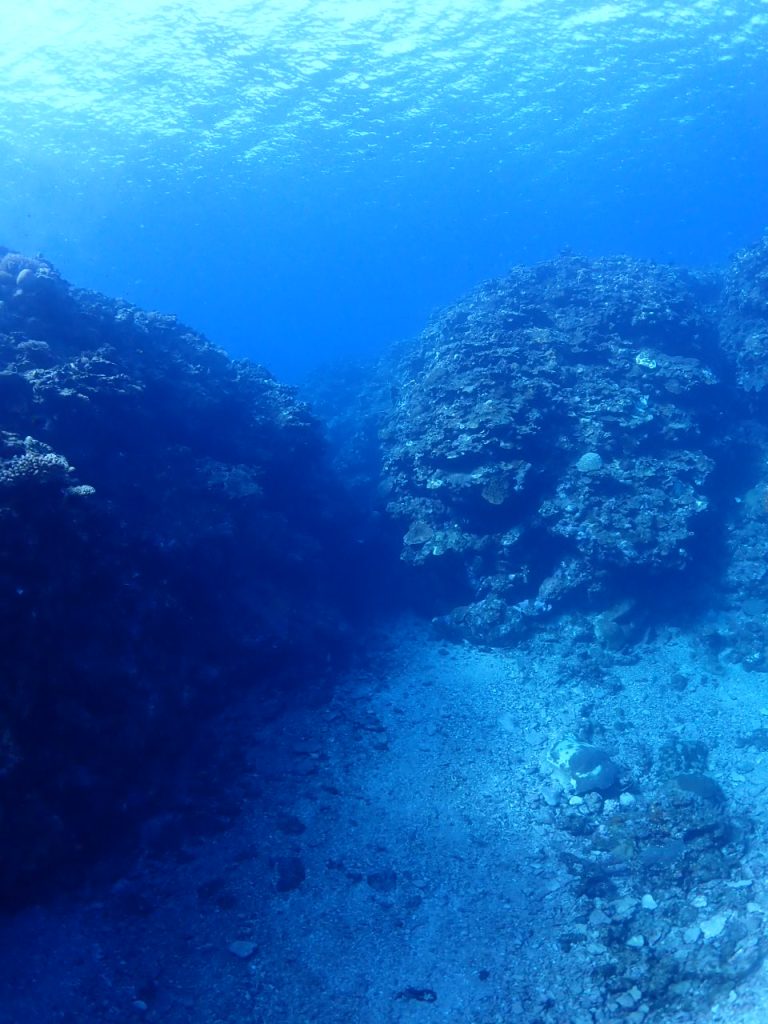 １２月のサバ崎の海