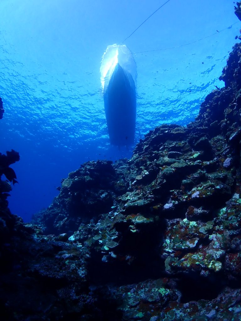 海底から船を眺める