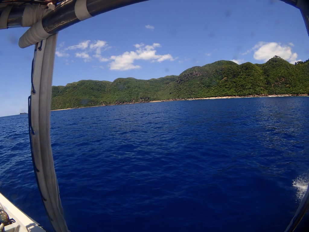 GOODDIVE 鹿の川へ