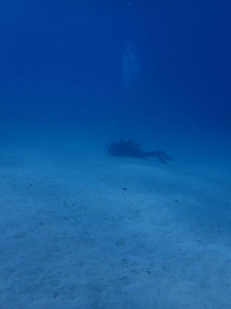 西表の砂地に1人のダイバー