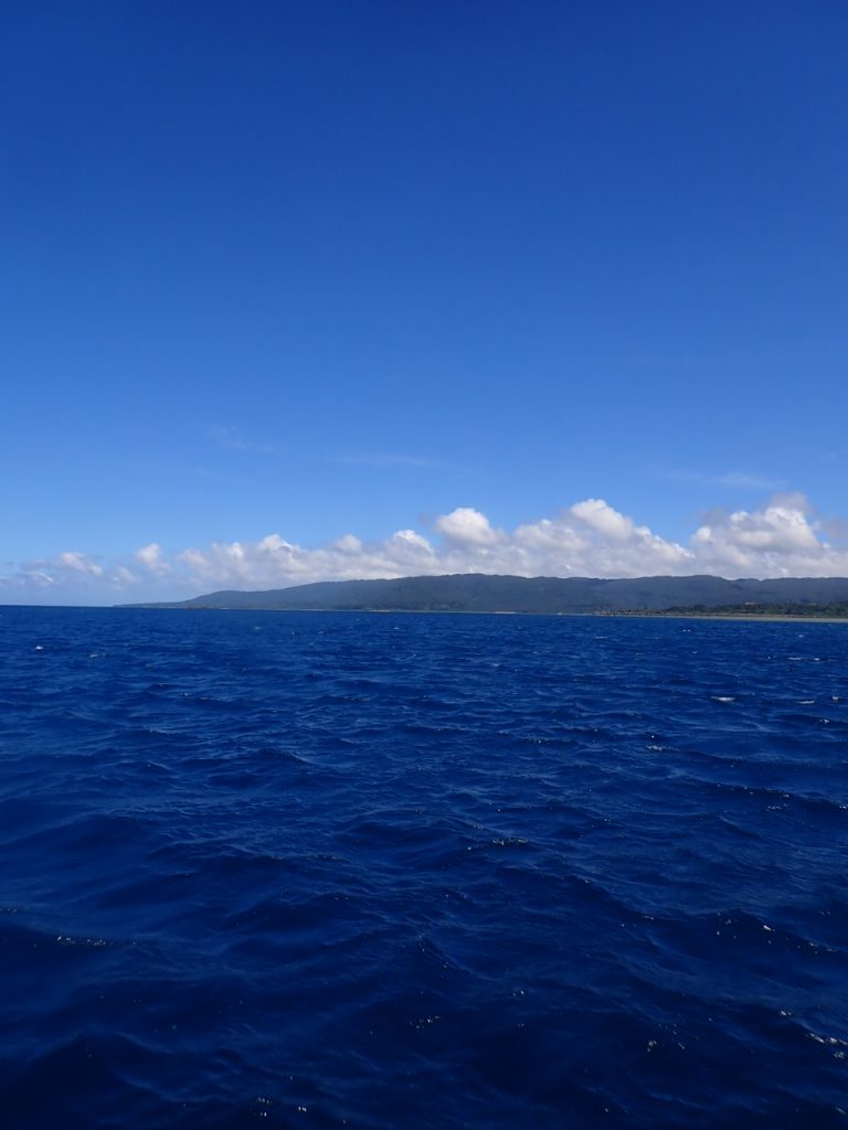 凪の西表ダイビング