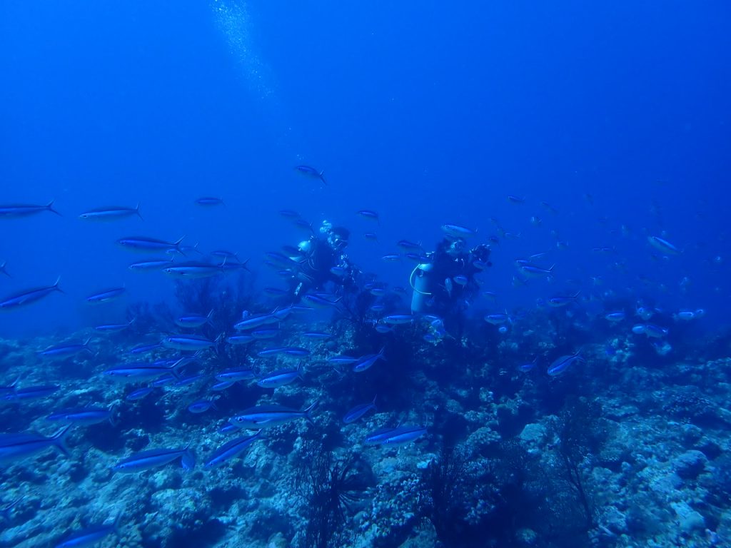 エクセレントな海続いてます