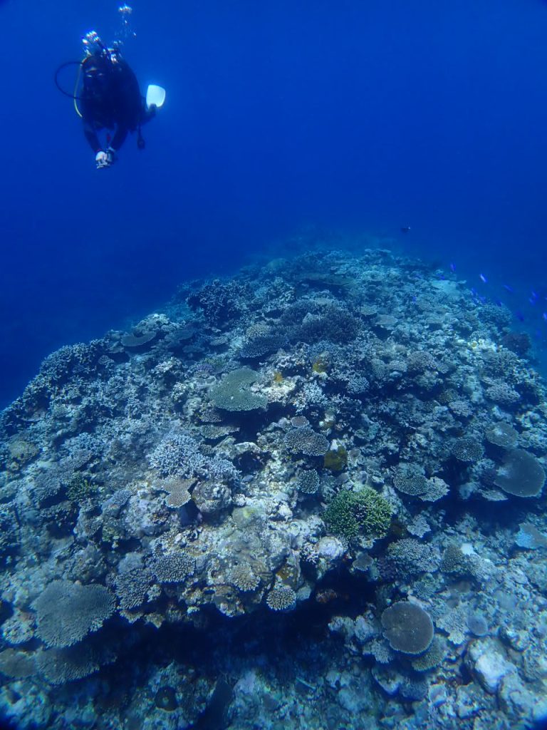 一度は行きたい西表の海