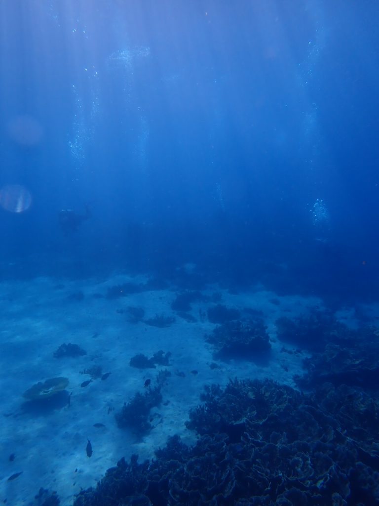 今日まで６日間の海