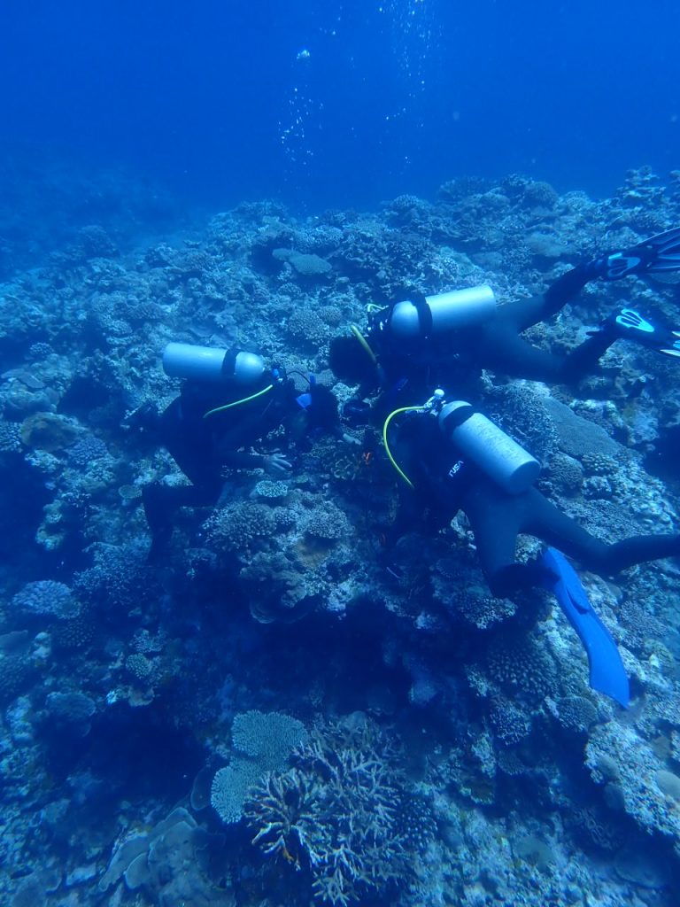 チームワークで水中撮影