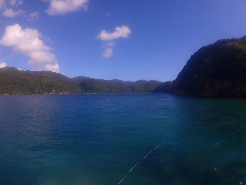 網取の奥の水の中
