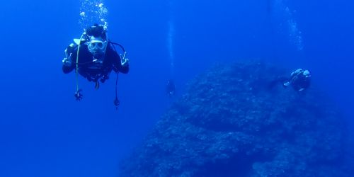 冬の西表島の海の様子