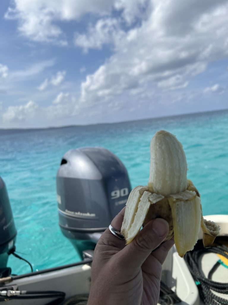 ダイビングと島バナナ