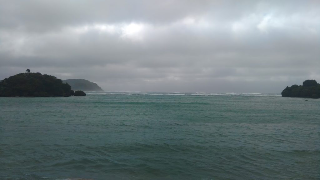 豪快に荒れています。