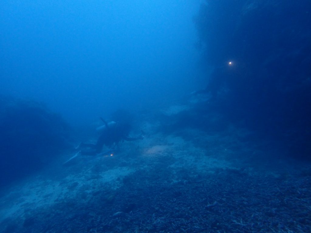 ゲストがお気に入りポイント