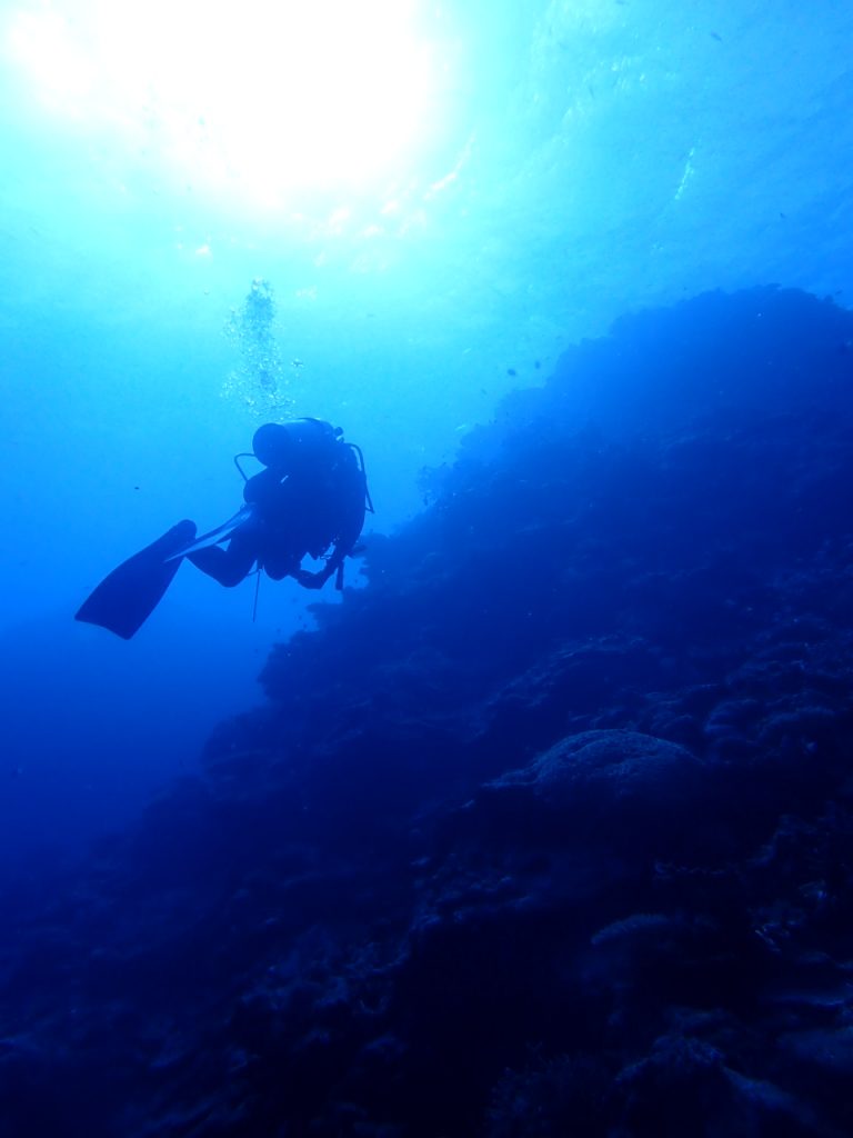 西海域シーズン到来