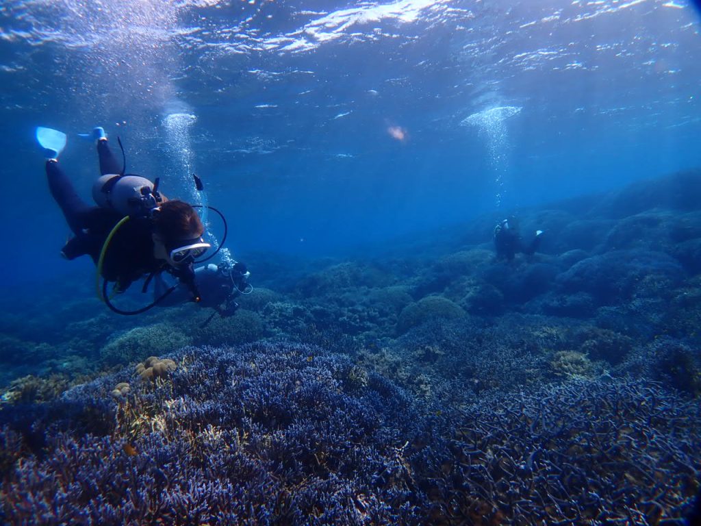 濁流域を抜けると
