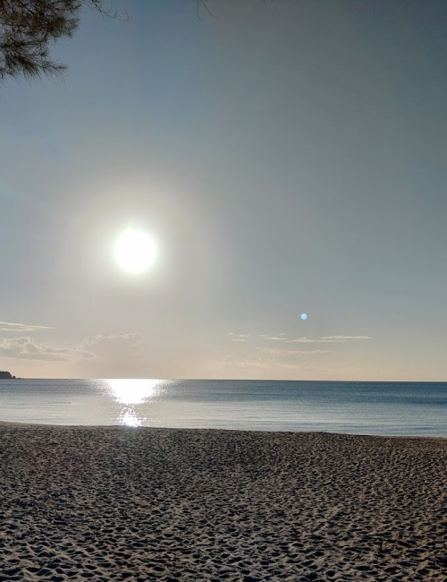 冬の西表島の海の様子