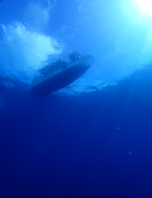 冬の西表島の海の様子