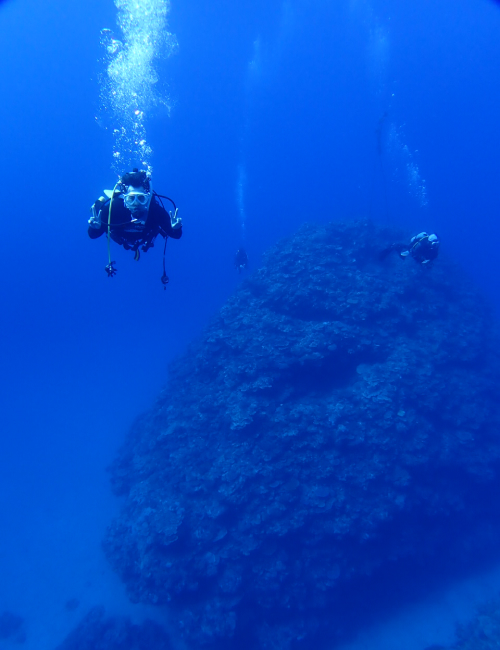 冬の西表島の海の様子