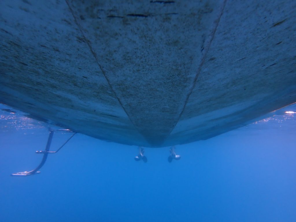 GD2 入水１ヶ月経過