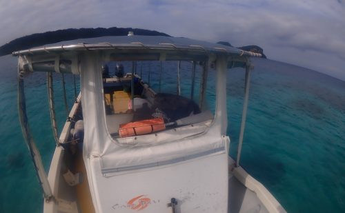 28年間連れ添ったGD号